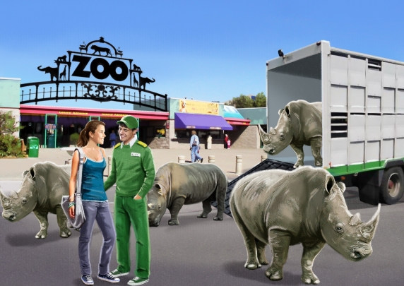 storyboard example created in tight colour of animals