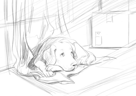 Undisclosed storyboard example created in Pencil Sketches of Animal Illustrations