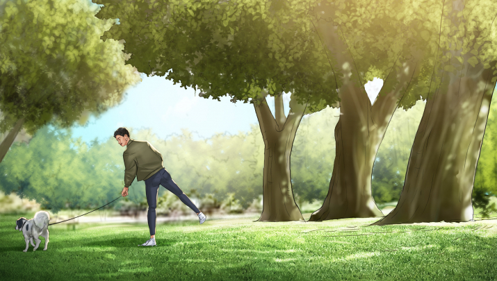 storyboard example created in Tight Color of Landscape Illustrations