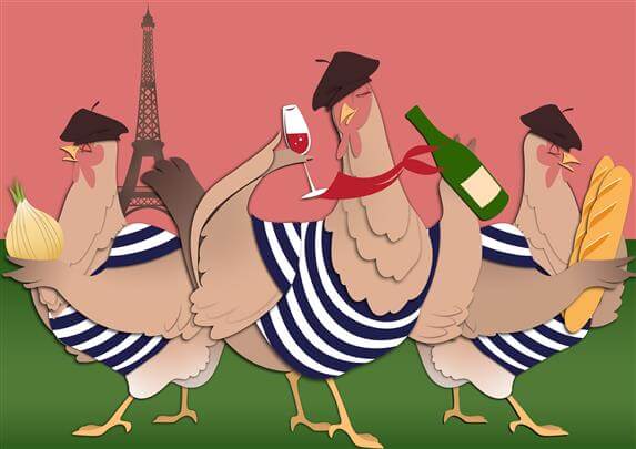 vector art storyboard of french chicken in france