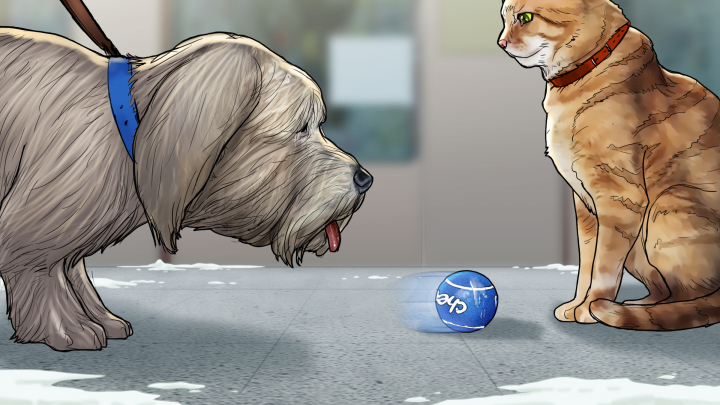 storyboard example created in Graphic of Animal Illustrations