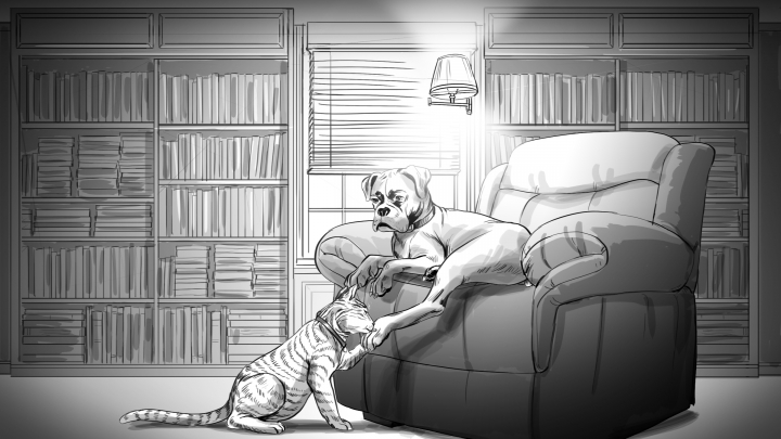 storyboard example created in Tight Pencil Sketches of Animal Illustrations