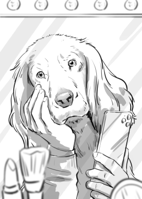 storyboard example created in  of Animal Illustrations