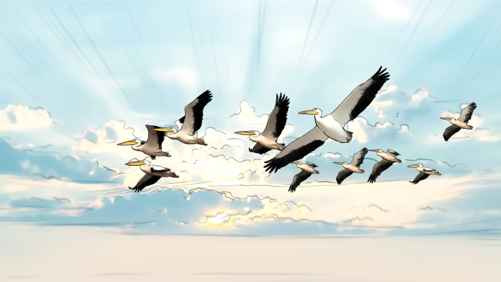 storyboard example created in  of Animal Illustrations