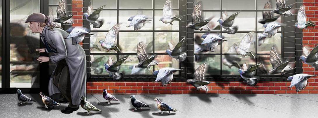 storyboard example created in key visuals of animals