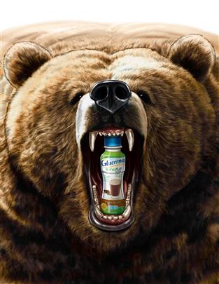 tight color storyboard of angry grizzly bear with drink