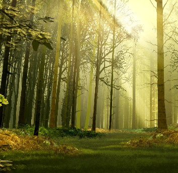 background plate storyboard example created in tight colour of landscapes