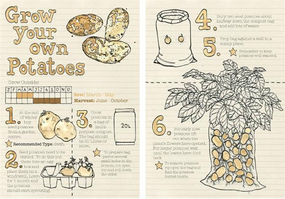 storyboard example created in print of food and drink