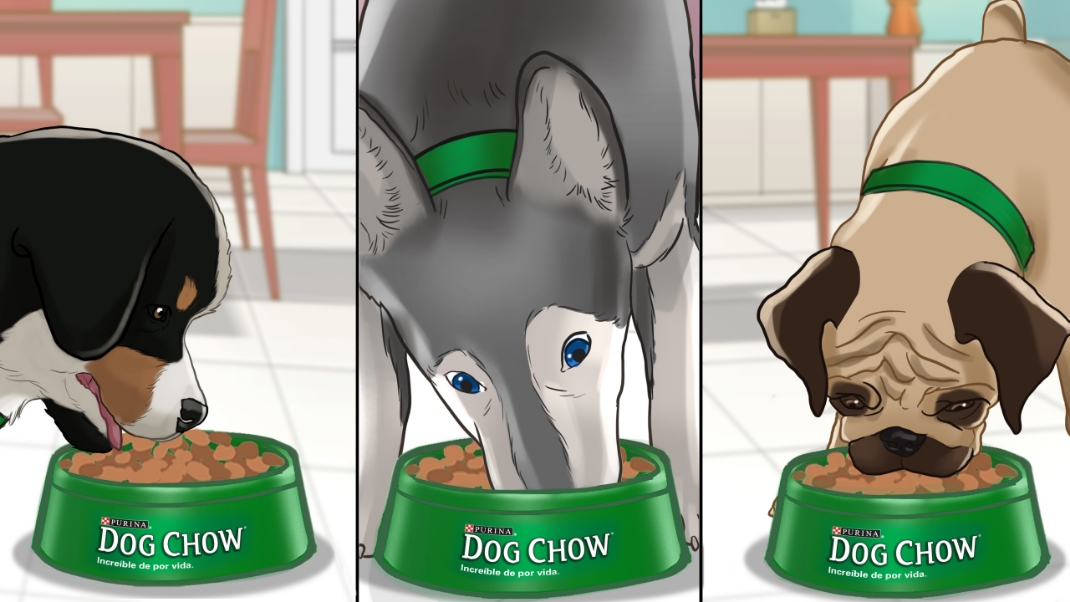 Purina Las Reglas Storyboard example1