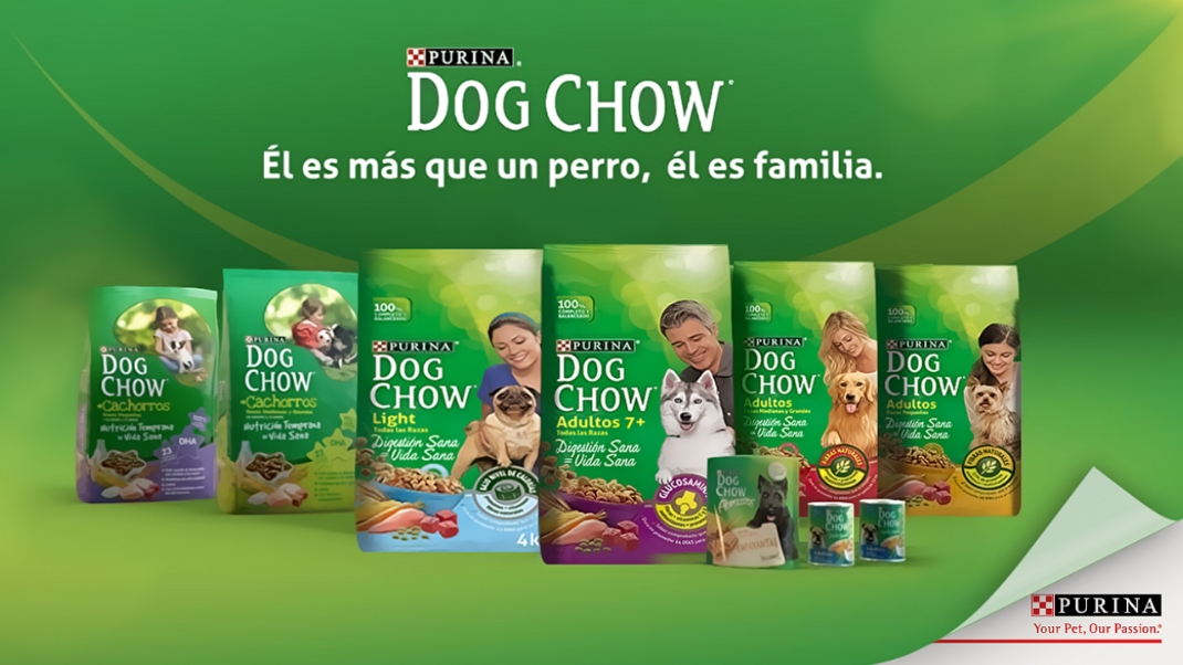 Purina Las Reglas Storyboard example7