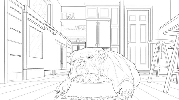 storyboards example