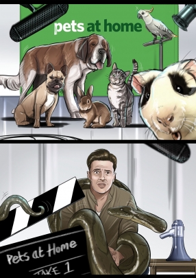 storyboard example created in tight colour of animals