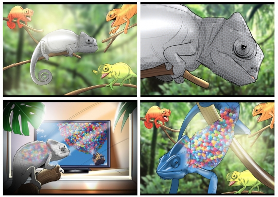 storyboard example created in tight colour of animals